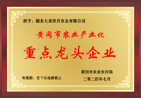 不断发挥平台作用  加快培植新的经营增长点